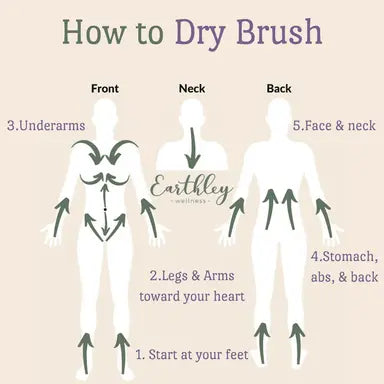 Lymphatic Cream