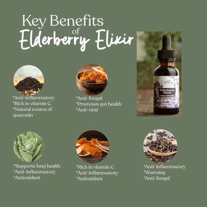 Elderberry Elixir