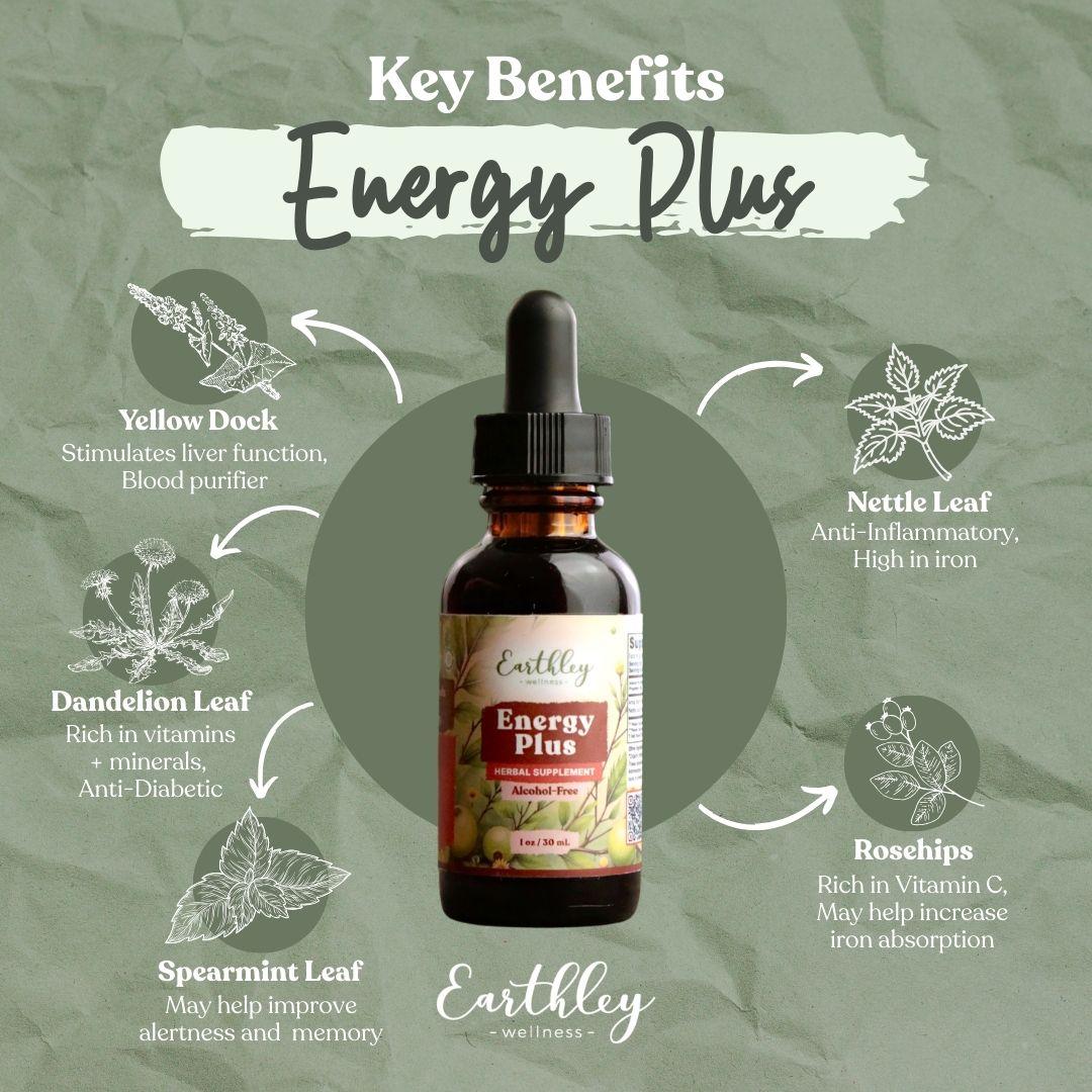 Energy Plus