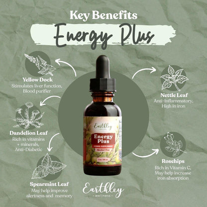 Energy Plus